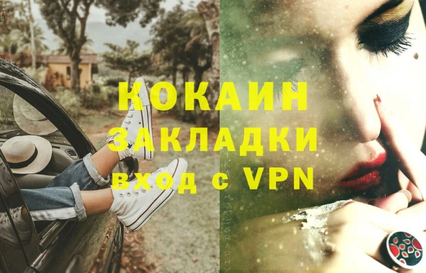 кокс Бородино