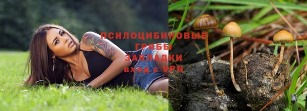 кокс Бородино