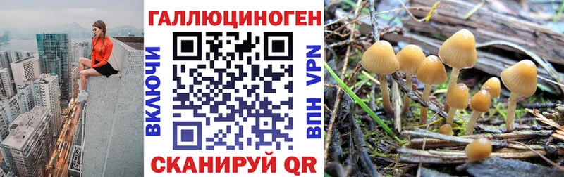 купить закладку  Мензелинск  KRAKEN маркетплейс  Галлюциногенные грибы Cubensis 